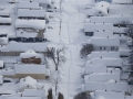 105158 Snowvember aeria#121