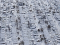 105158 Snowvember aeria#127