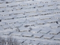 105158 Snowvember aeria#138