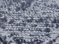 105158 Snowvember aerial#65
