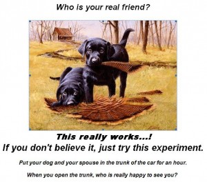 Who is your real friend?