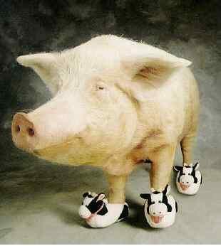 Moo Shoe Pork