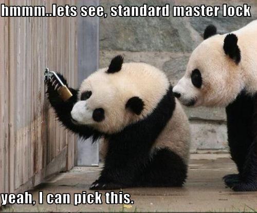 Yeah, I can pick this...