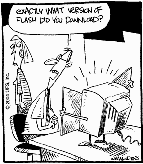 What Version of Flash Did You Download?