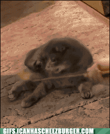 It Was YOU All Along?!