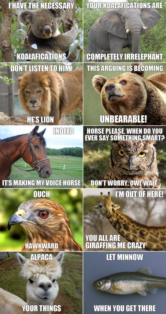 Animal Puns