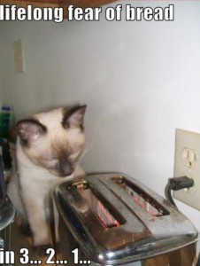 Lifelong fear of bread