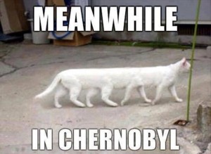 Meanwhile in Chernobyl