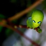 Alien Caterpillar