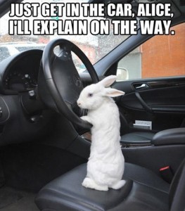 Just get in the car, Alice