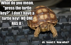 Turtle Key