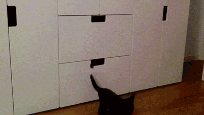 cat_copier