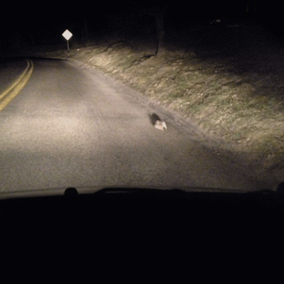 mondays_are_like_that